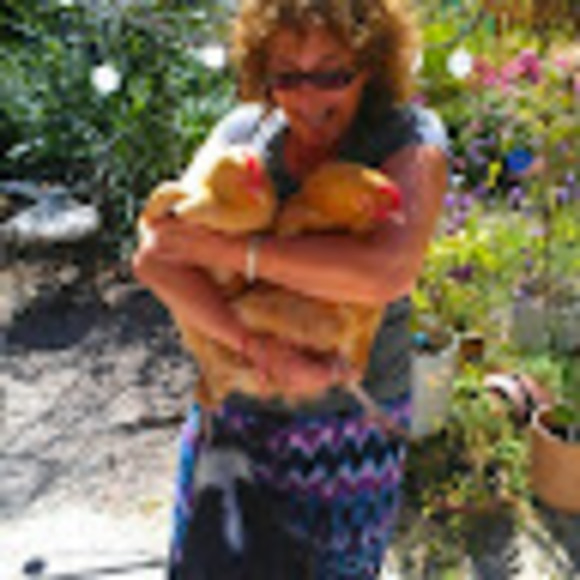 Meet your Posher, Rina - Picture 1 of 1